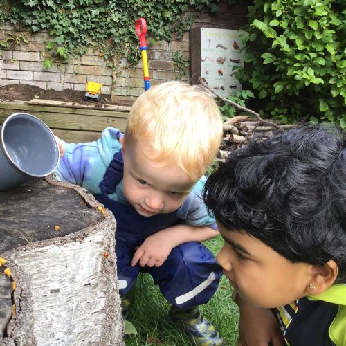 Forest School in Action!